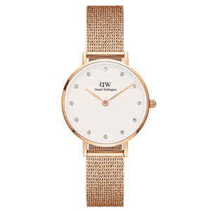 DANIEL WELLINGTON dámske hodinky Petite DW00100528