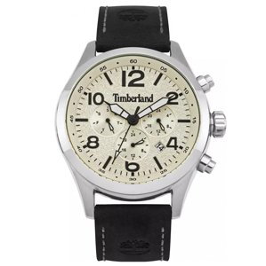 Pánske hodinky Timberland ASHMONT TBL.15249JS-07 (zq006a)