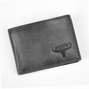 Malá pánska peňaženka Wild N1184-HP skl.