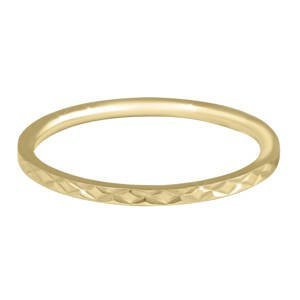Troli Pozlátený minimalistický prsteň z ocele s jemným vzorom Gold 52 mm