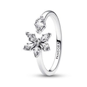 Pandora Pôvabný strieborný prsteň so zirkónmi 192611C01 52 mm